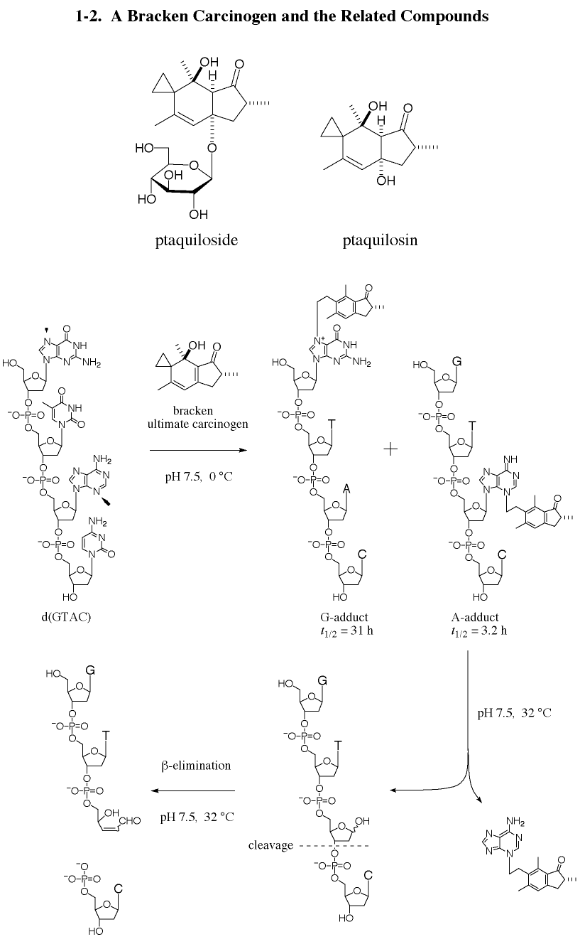 ptaquiloside, ptaquilosin