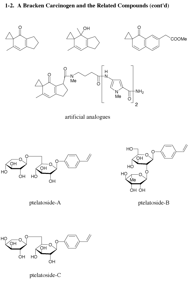 bracken carcinogen analogs, ptelatosides