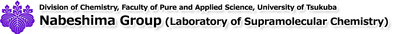 Laboratory of Supramolecular Chemistry, University of Tsukuba