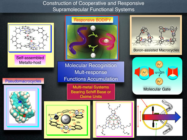  Research Concept