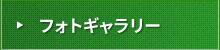 フォトギャラリー