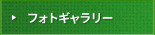 フォトギャラリー