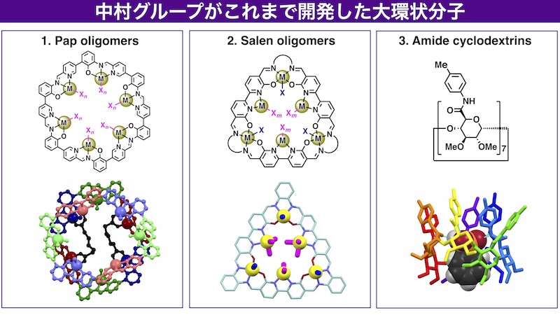 代表的分子